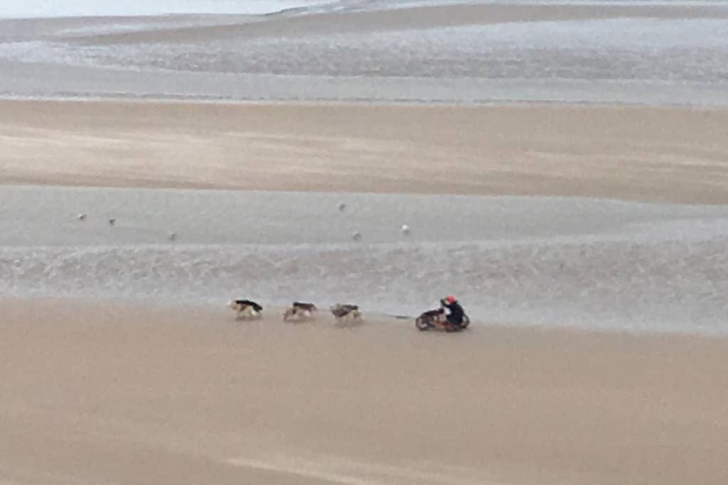 Entre Dunes Et Mer เบรย์ดูน ภายนอก รูปภาพ