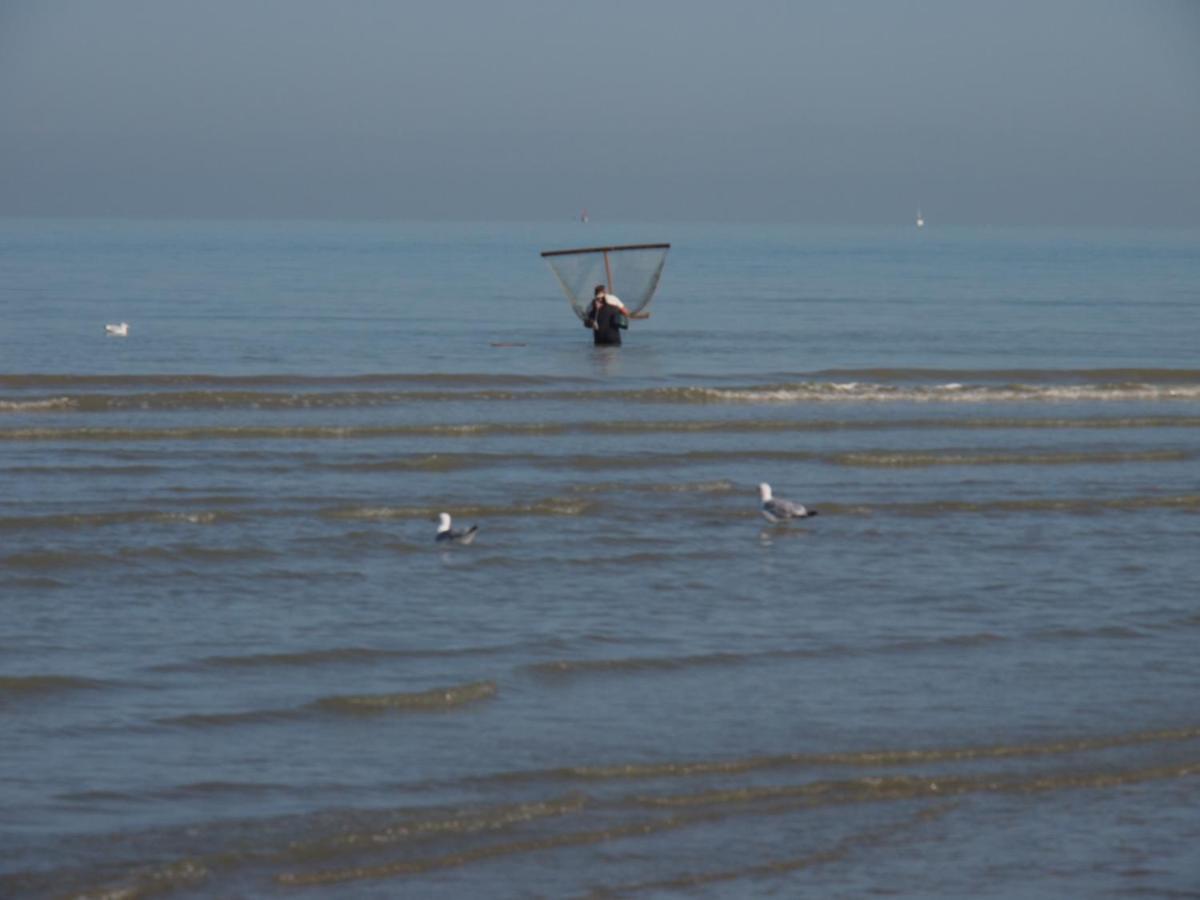 Entre Dunes Et Mer เบรย์ดูน ภายนอก รูปภาพ